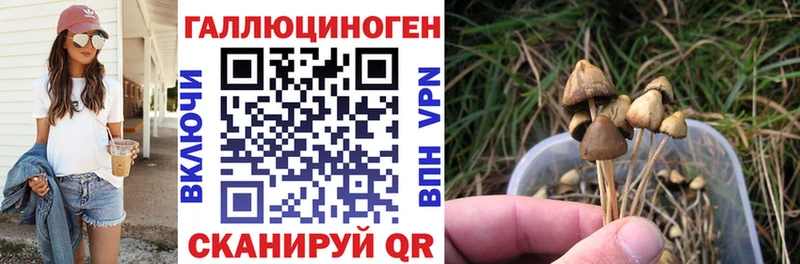 Купить закладки  Пролетарск  Псилоцибиновые грибы Cubensis 